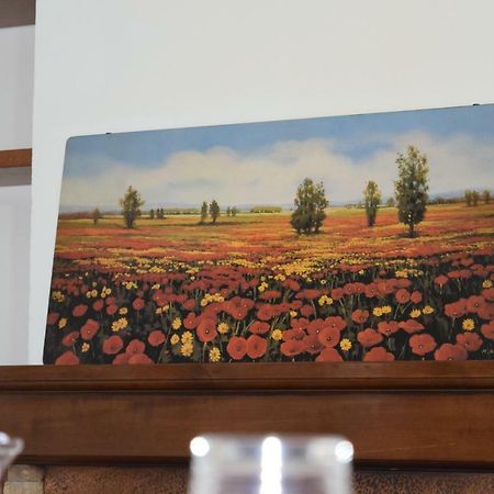 Апартаменти Casa Groppino Монтероні-д'Арбія Екстер'єр фото